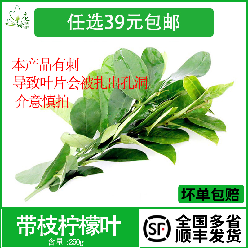 新鲜柠檬叶青柠叶火锅泰式香料