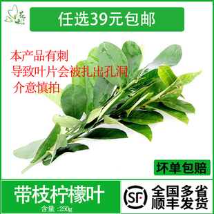 新鲜柠檬叶 带枝青柠叶 叶片有刺250g冬阴功香料火锅泰式料理调料