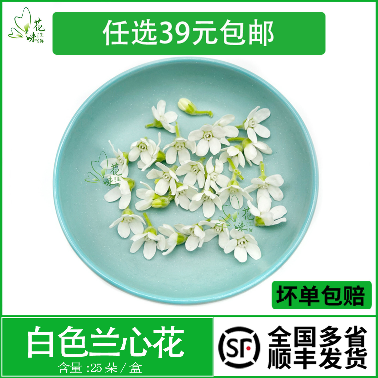 新鲜兰心花白色小花酒店西餐