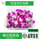 洋兰花 杨兰花 花朵 石斛兰 饰点缀 新鲜 酒店西餐冷菜摆盘装 泰国