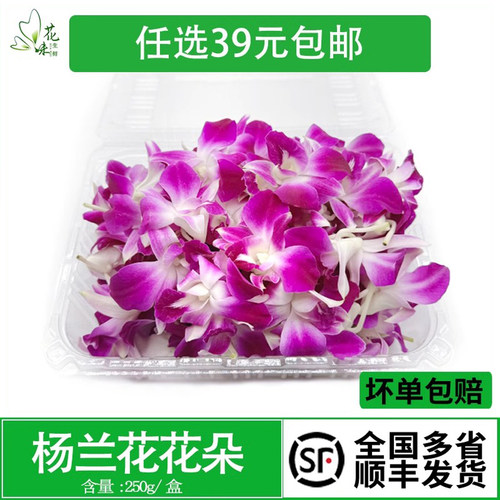 洋兰花酒店西餐冷菜摆盘装饰点缀