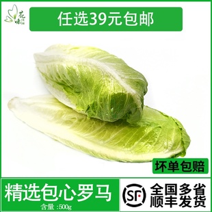 新鲜蔬菜包心罗马生菜 嫩罗马 花味鲜 包心罗纹西餐沙拉菜500g