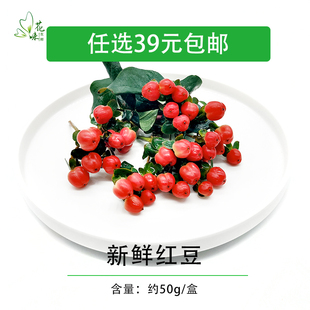 新鲜 红豆  酒店餐饮日料烘焙装饰点缀摆盘花草 约50g 包邮