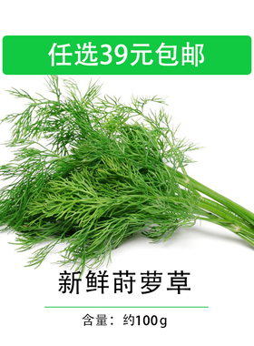新鲜莳萝草 泰国香料 Dill 刁草 土茴香100g 食用香料西餐