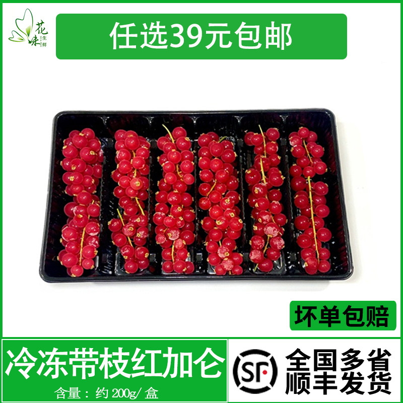 速冻红加仑高级水果酒店冷菜摆盘
