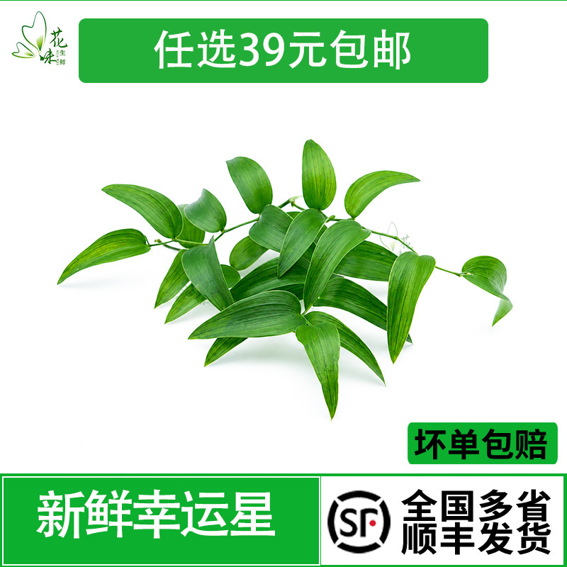 新鲜幸运星蛋糕烘焙酒水点缀