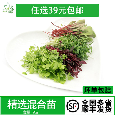 新鲜蔬菜西餐摆盘酒店摆盘