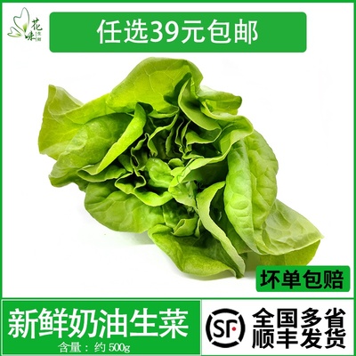 花味鲜奶油生菜蔬菜沙拉