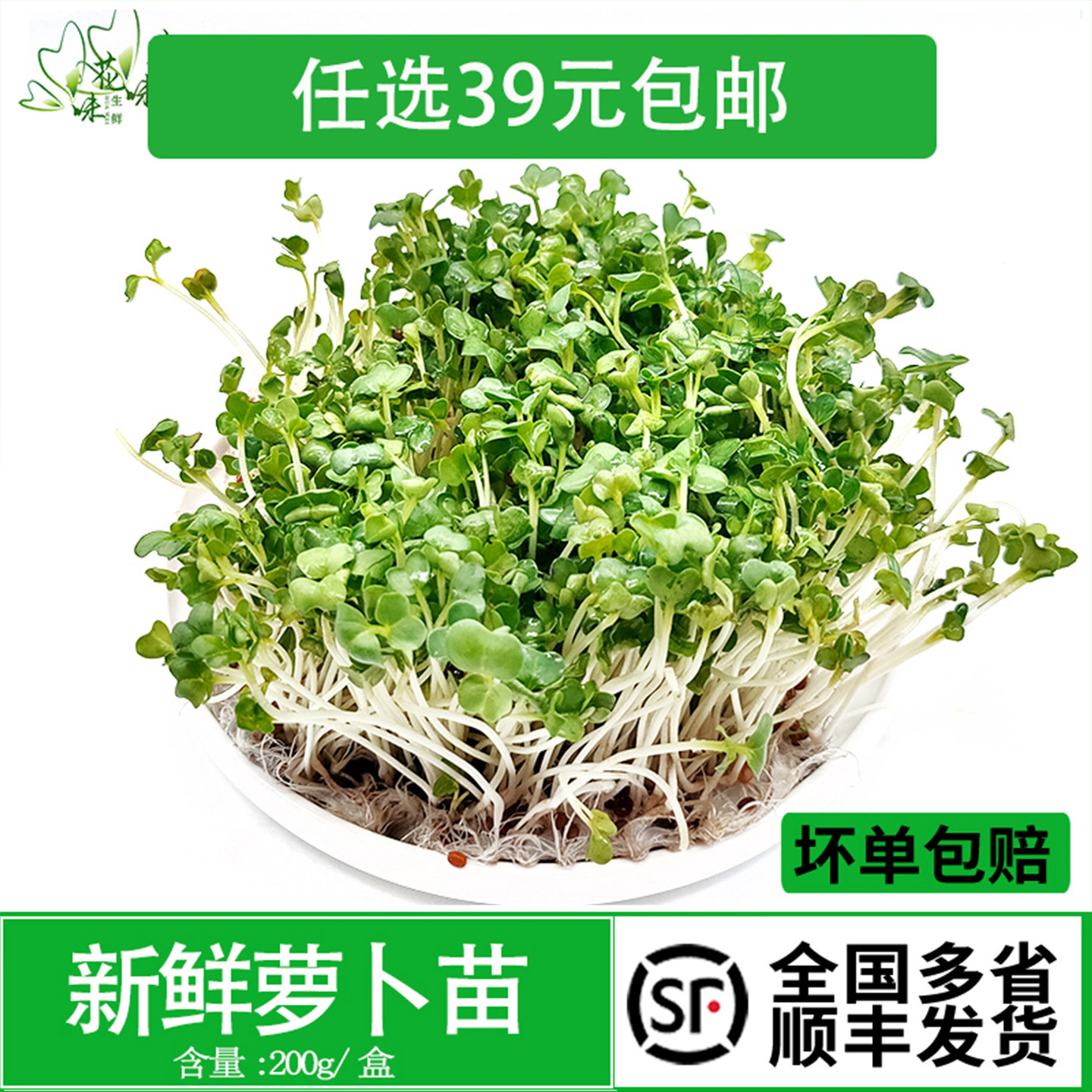 【花味鲜】新鲜萝卜苗 可食用芽苗菜 西餐摆盘装饰盒装 200g