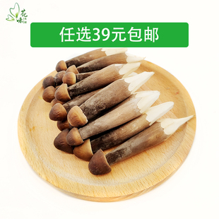 新鲜鸡枞菌 菌菇 食用菌 黑皮鸡枞菇鸡油菌煲汤食材250g