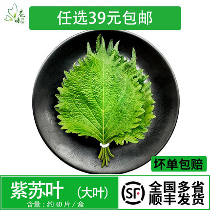 紫苏叶新鲜苏子叶大叶40片韩国烧烤包饭日本寿司料理刺身西餐摆盘