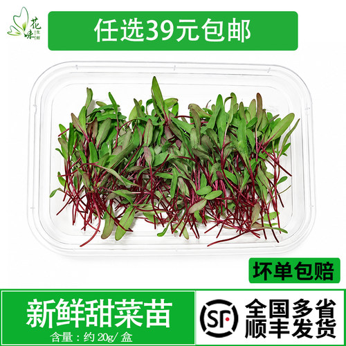 【花味鲜】新鲜蔬菜苗摆盘装饰