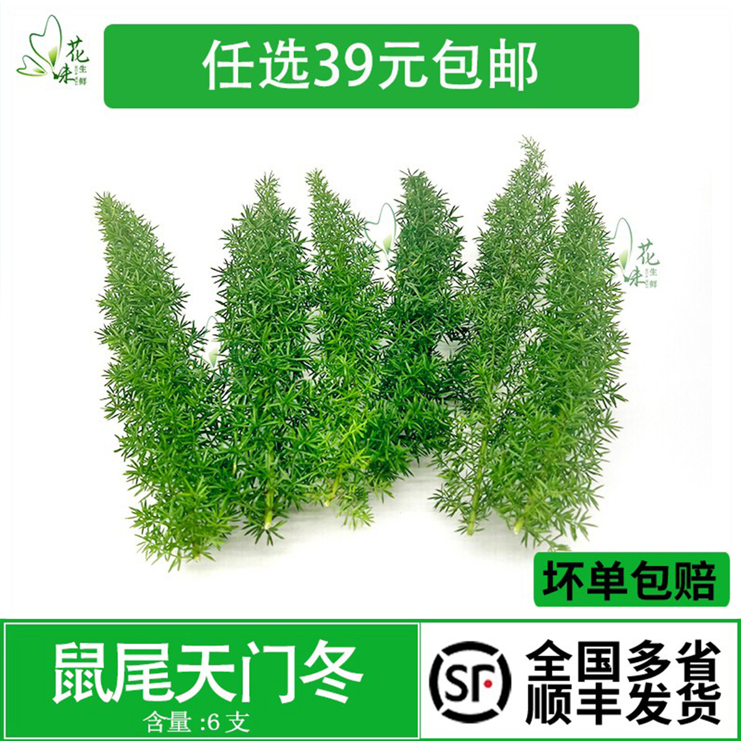 新鲜花草天门冬 狐尾天门冬6支现采现发日料刺身装饰酒店西餐摆盘