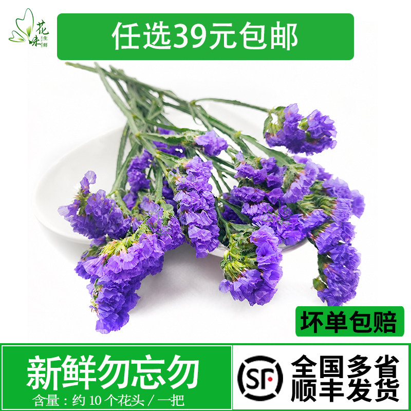 【花味鲜】新鲜蓝色勿忘我食用花 鲜花 中西餐厅酒店摆盘装饰点缀