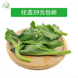 新鲜冰草 冰菜冰叶非洲冰草西餐凉拌沙拉蔬菜酒店火锅生吃500g