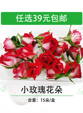 小玫瑰花朵新鲜 可食用鲜花草 花瓣 酒店西餐摆菜盘装饰