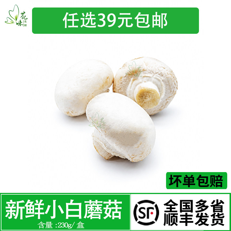 白蘑菇口菇双孢菇煲汤炒菜蔬菜