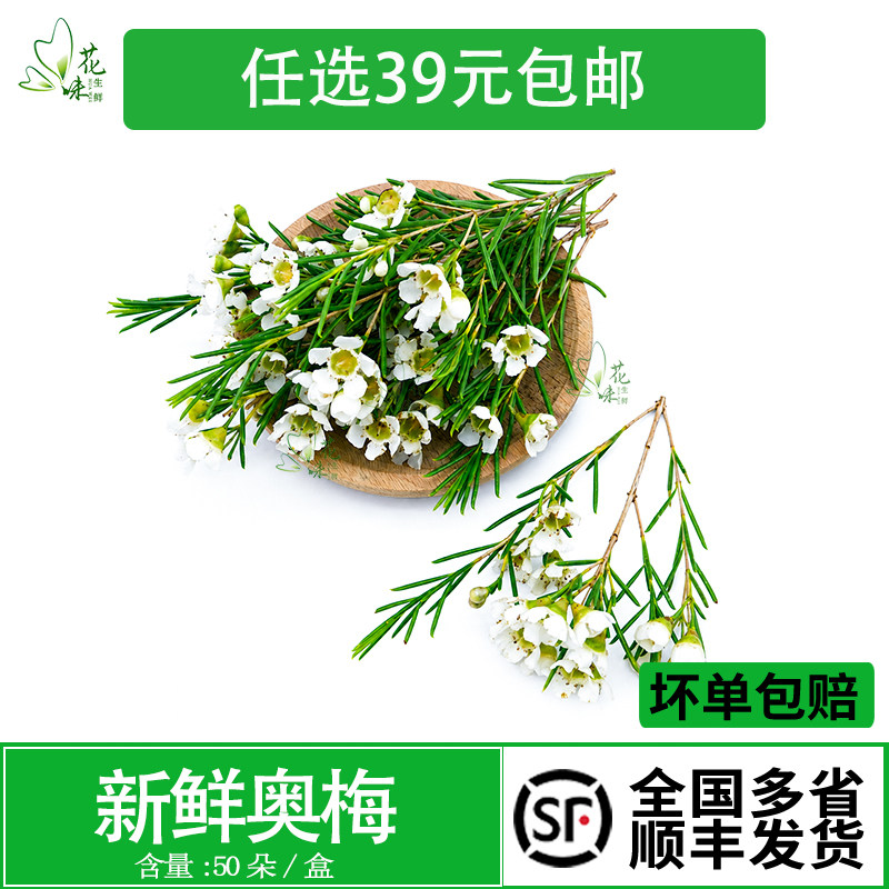 中西餐摆盘酒店日料盘饰