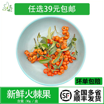 西餐日料摆盘冷菜装饰点缀鲜花草