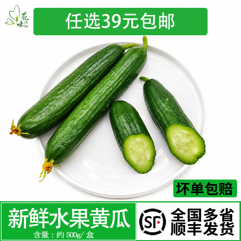 新鲜小黄瓜 荷兰小黄瓜 迷你黄瓜水果黄瓜迷你无刺孕妇蔬菜500g