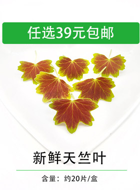 新鲜 天竺葵叶 非枫叶 温哥华枫叶 西餐酒店摆盘装饰新鲜花草