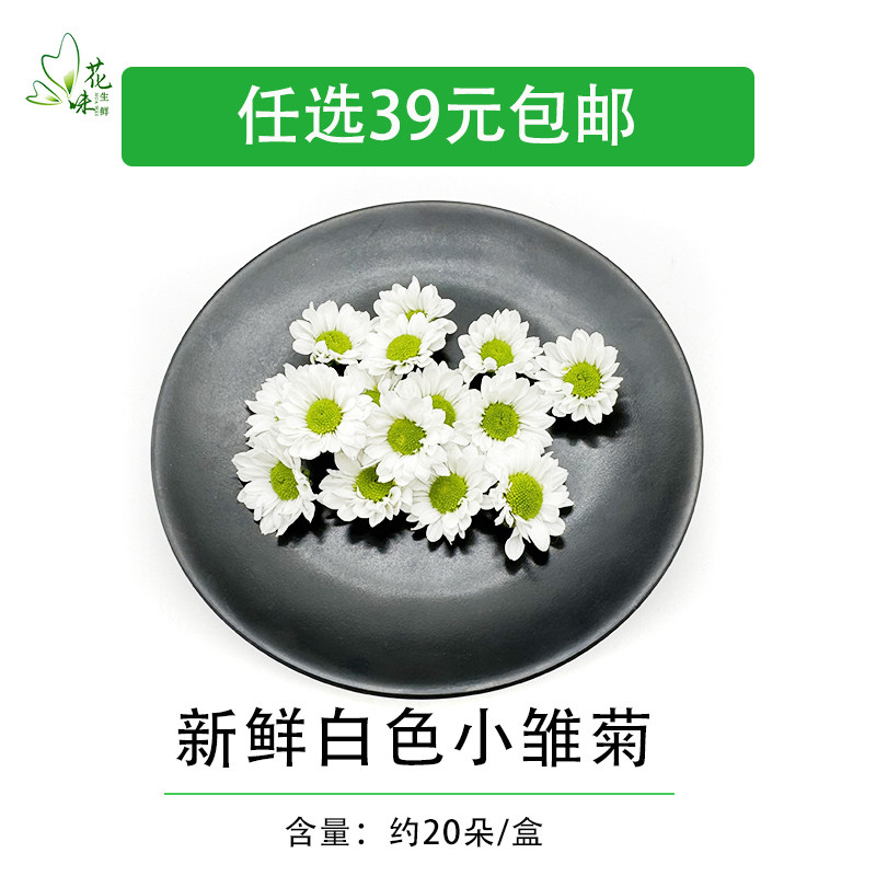 新鲜绿心白色小雏菊 白彩菊 西餐酒店摆盘烘焙饮品点缀装饰鲜花草