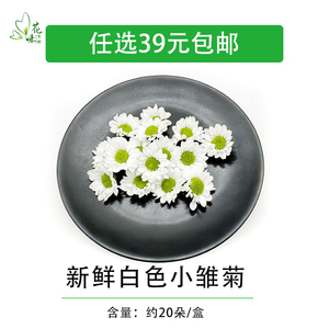 摆盘烘焙饮品点缀装饰鲜花草