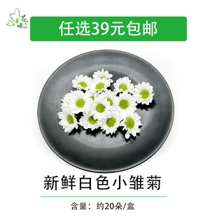 新鲜绿心白色小雏菊 白彩菊 西餐酒店摆盘烘焙饮品点缀装饰鲜花草