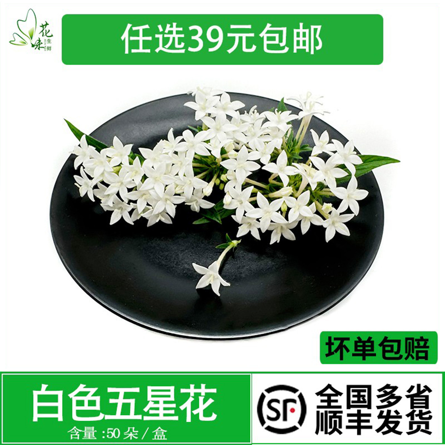 新鲜白色五星花 繁星花 白色小花 西餐酒店酒水烘焙摆盘装饰鲜花