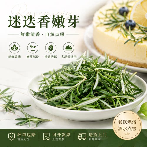 新鲜迷迭香嫩芽可食用香料烘焙