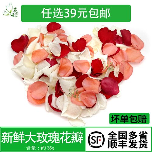 新鲜多色大玫瑰花瓣食用蛋糕装饰