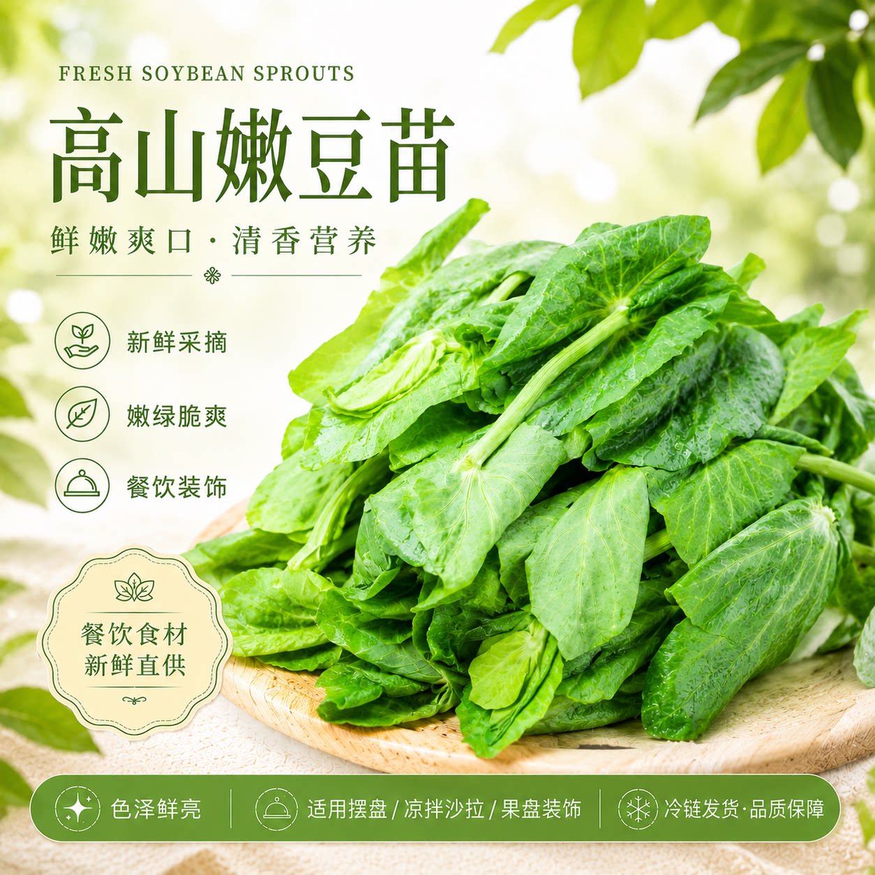 蔬菜豌豆苗产地现摘现发煮汤火锅