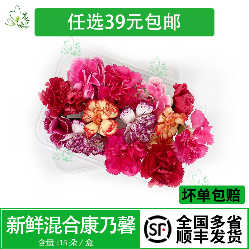 新鲜 康乃馨花朵 鲜花 多色康乃馨食用花酒店西餐摆盘蛋糕装饰