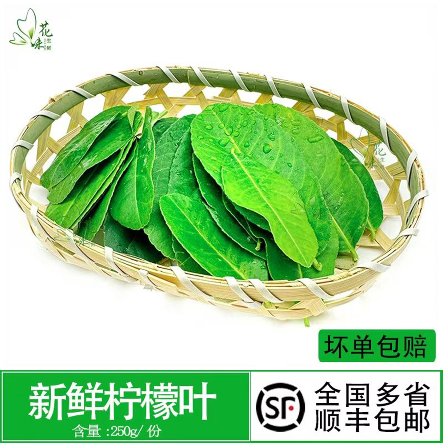 新鲜柠檬叶青柠叶西餐香料烹饪调料冬阴功汤原料鱼生佐料