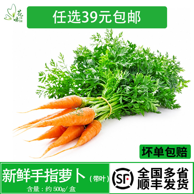 蔬菜沙拉酒店西餐摆盘装饰