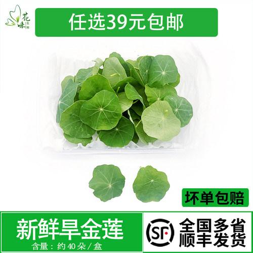 旱金莲新鲜花草酒店摆盘蛋糕点缀