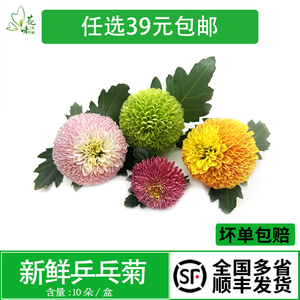 乒乓菊花草摆盘酒店冷菜摆盘