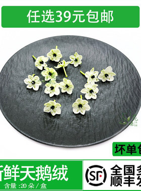 新鲜白色小花天鹅绒西餐酒店摆盘日料蛋糕烘焙酒水装饰点缀鲜花草