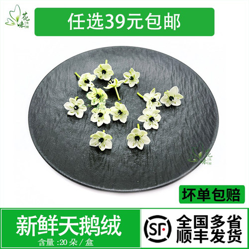 新鲜白色小花天鹅绒西餐酒店摆盘日料蛋糕烘焙酒水装饰点缀鲜花草