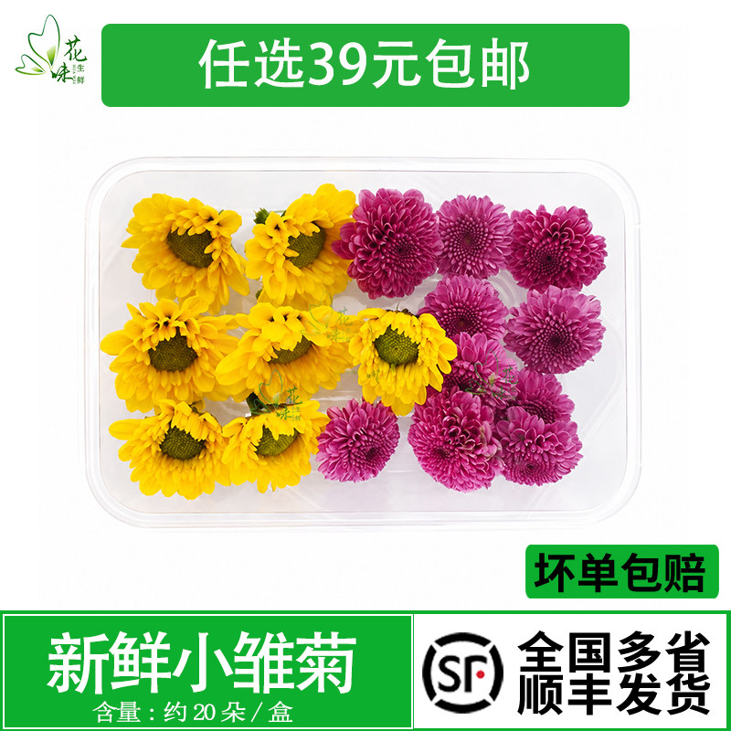 新鲜小皱菊 小菊花 混合彩菊 食用花草 西餐酒店烘焙摆盘装饰点缀