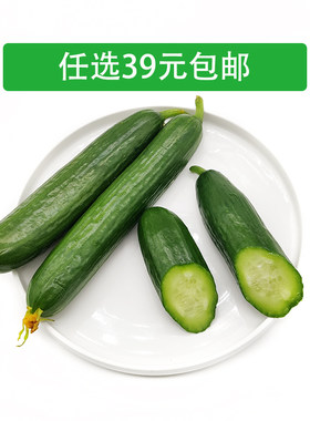 新鲜小黄瓜 荷兰小黄瓜 迷你黄瓜水果黄瓜迷你无刺孕妇蔬菜500g