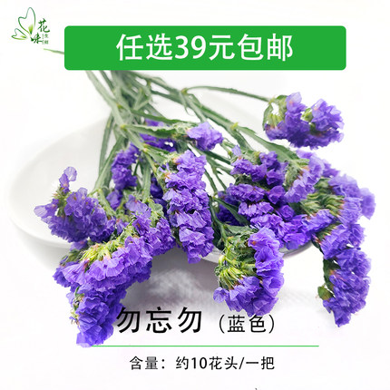 【花味鲜】新鲜蓝色勿忘我食用花 鲜花 中西餐厅酒店摆盘装饰点缀