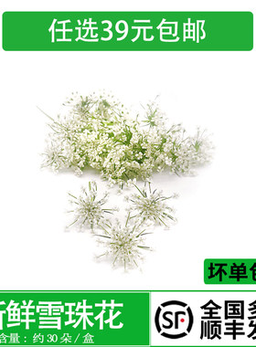 花味鲜酒店摆盘蛋糕点缀