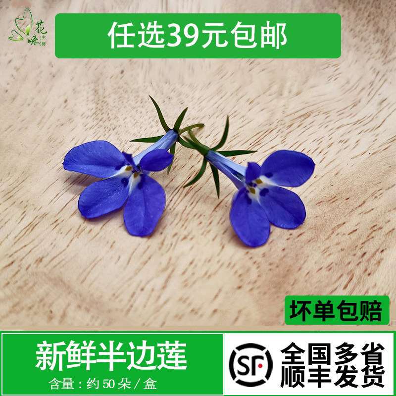 新鲜半边莲花 六倍利 酒店西餐装饰摆盘约50朵 冷艺烘焙鲜花点缀
