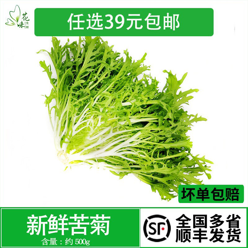【花味鲜】新鲜苦菊 苦细叶 苦叶生菜  苦苣 蔬菜沙拉食材500g
