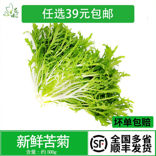 花味鲜 苦苣 新鲜苦菊 苦叶生菜 蔬菜沙拉食材500g 苦细叶