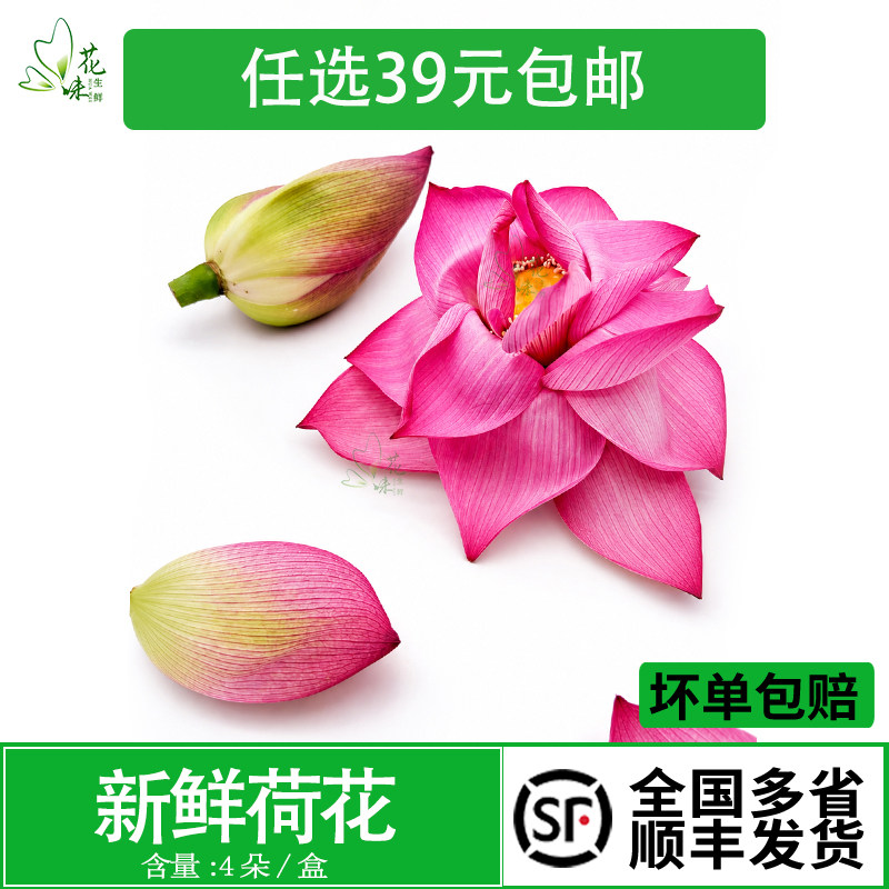 店西餐摆盘装饰点缀冷意