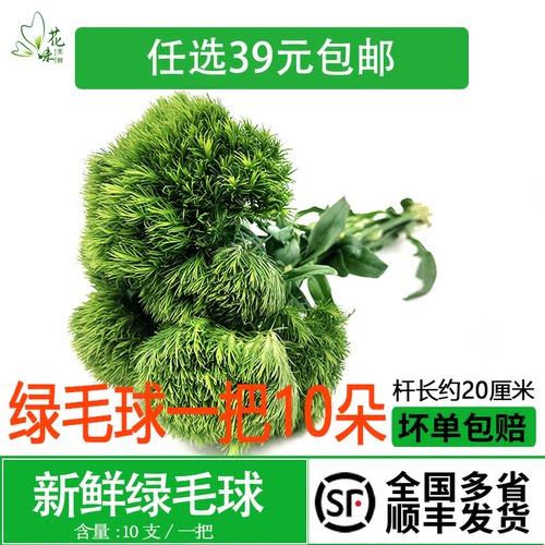 海鲜创意造景酒水装饰摆盘花草