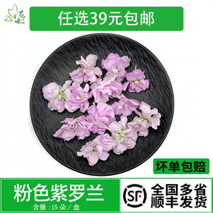 新鲜粉色紫罗兰花 鲜花烘焙蛋糕酒水装饰花草西餐酒店摆盘点缀