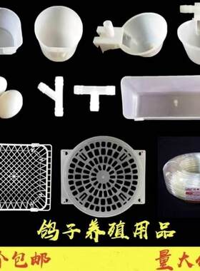 鸽子肉鸽用品用具养殖配件喂食器自动饮水杯食盒蛋窝鹌鹑砂杯